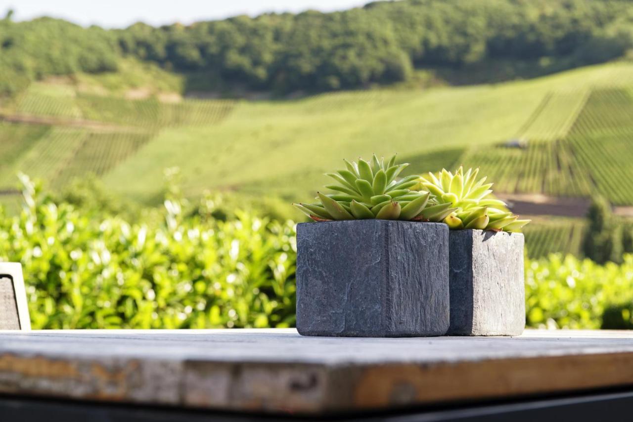 Weingut & Gaestehaus Christoph Cluesserath Trittenheim Eksteriør bilde