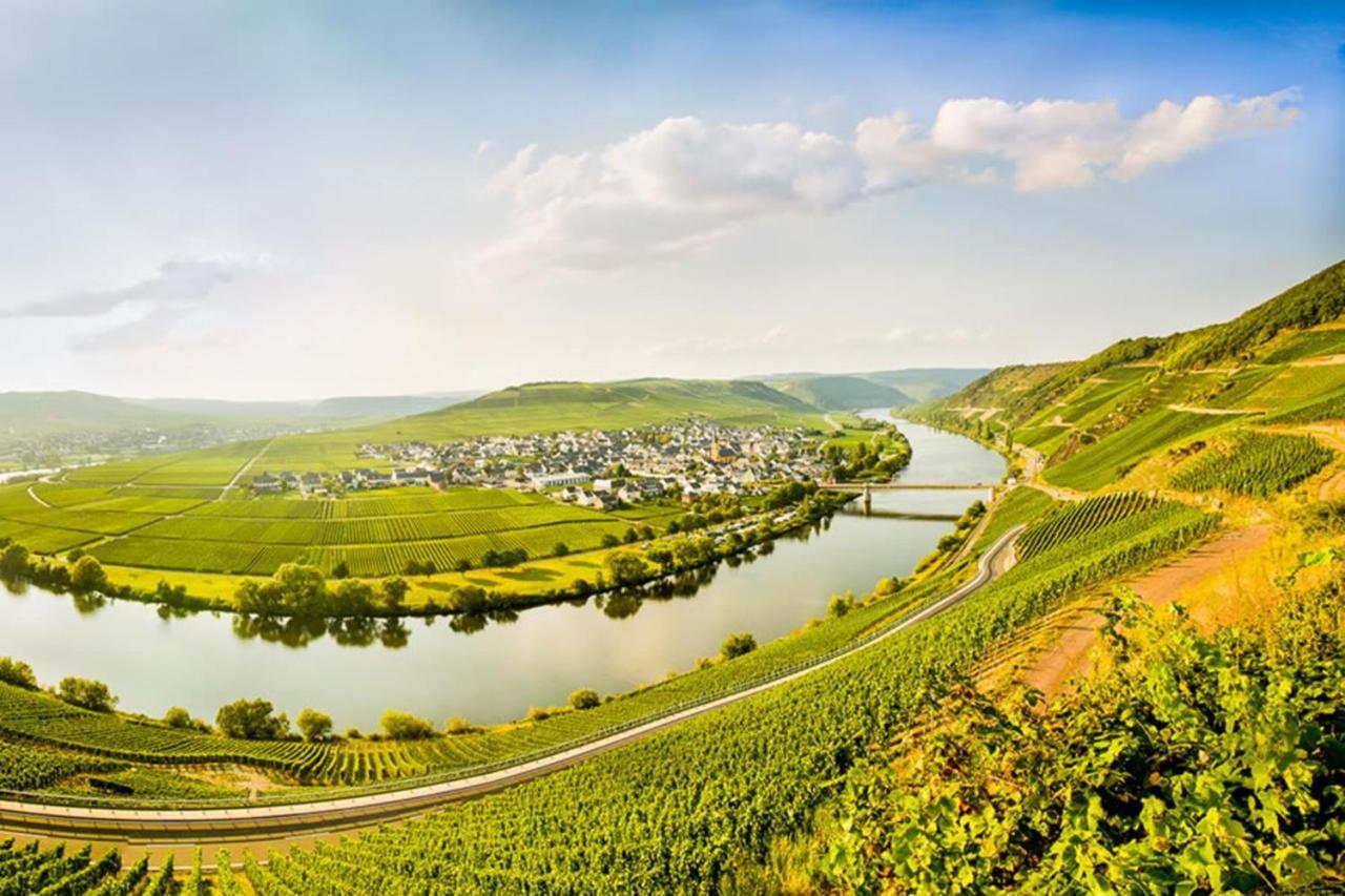 Weingut & Gaestehaus Christoph Cluesserath Trittenheim Eksteriør bilde