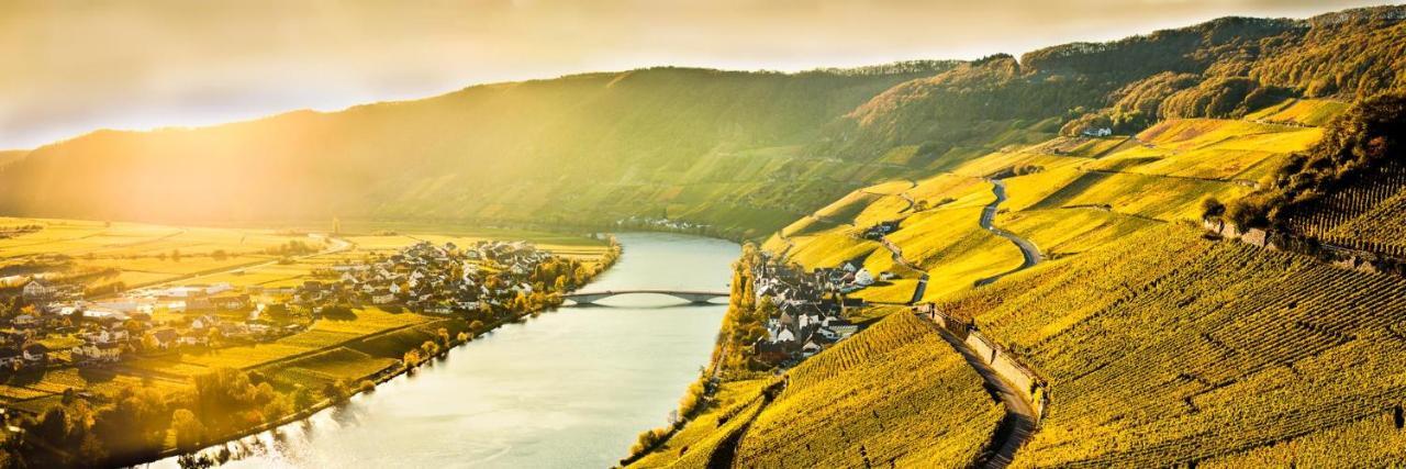 Weingut & Gaestehaus Christoph Cluesserath Trittenheim Eksteriør bilde