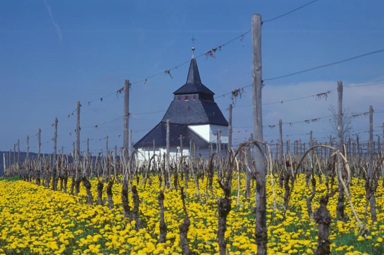 Weingut & Gaestehaus Christoph Cluesserath Trittenheim Eksteriør bilde
